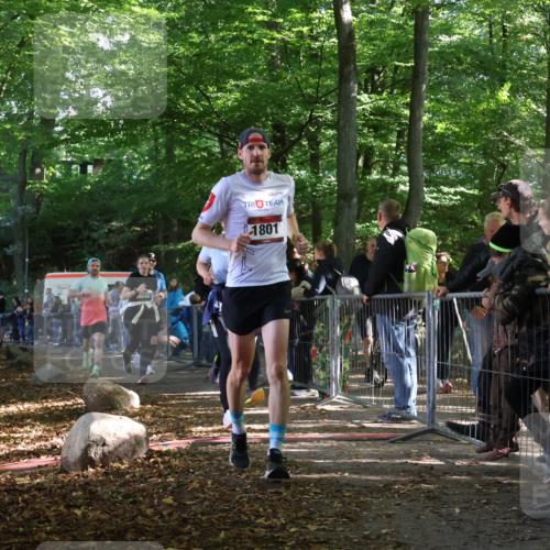 28.09.2025 - 33. Volkslauf durch das schöne Alstertal Strokosch-Dieckow http://msf.ph/oto/8967396 28.09.2025 11:41:58 Ziel 1584, 1766, 1801, 3028, 3047, 3253, 3269 meine-sportfotos.de