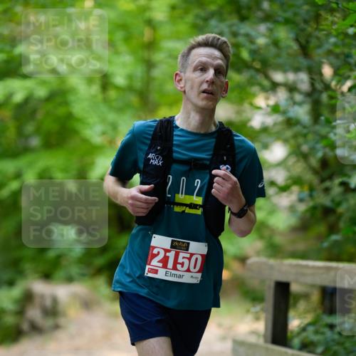 28.09.2025 - 33. Volkslauf durch das schöne Alstertal Patografie http://msf.ph/oto/8967397 28.09.2025 10:38:21 Laufen 202, 2150 meine-sportfotos.de