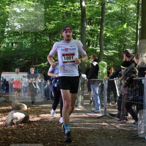 28.09.2025 - 33. Volkslauf durch das schöne Alstertal Strokosch-Dieckow http://msf.ph/oto/8967398 28.09.2025 11:41:58 Ziel 1584, 1766, 1801, 3028, 3047, 3253, 3269 meine-sportfotos.de