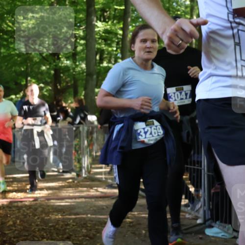 28.09.2025 - 33. Volkslauf durch das schöne Alstertal Strokosch-Dieckow http://msf.ph/oto/8967404 28.09.2025 11:42:00 Ziel 1584, 1766, 3028, 3047 meine-sportfotos.de