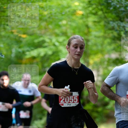 28.09.2025 - 33. Volkslauf durch das schöne Alstertal Patografie http://msf.ph/oto/8967406 28.09.2025 10:40:08 Laufen 28, 2055 meine-sportfotos.de