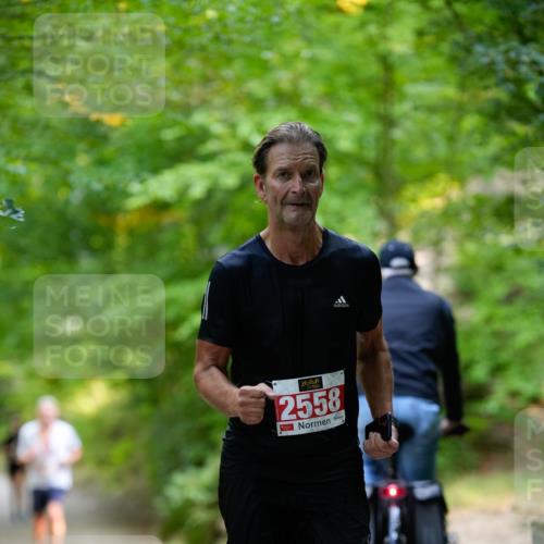 28.09.2025 - 33. Volkslauf durch das schöne Alstertal Patografie http://msf.ph/oto/8967419 28.09.2025 10:40:52 Laufen 72, 2558 meine-sportfotos.de