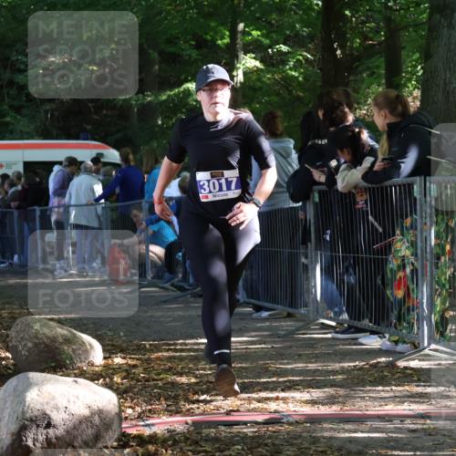28.09.2025 - 33. Volkslauf durch das schöne Alstertal Strokosch-Dieckow http://msf.ph/oto/8967428 28.09.2025 11:42:12 Ziel 1541, 2506, 3017 meine-sportfotos.de