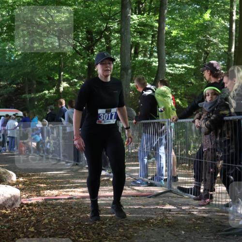 28.09.2025 - 33. Volkslauf durch das schöne Alstertal Strokosch-Dieckow http://msf.ph/oto/8967432 28.09.2025 11:42:13 Ziel 1541, 2506, 3017 meine-sportfotos.de