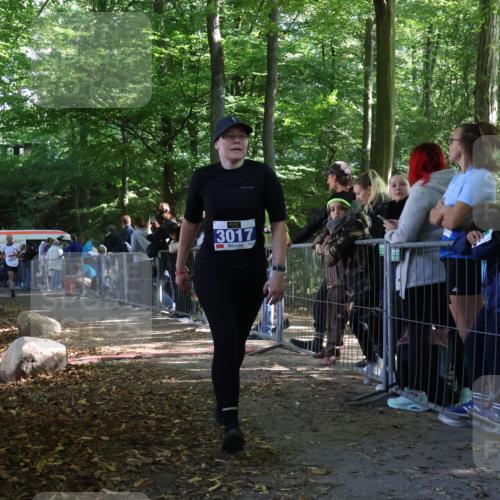 28.09.2025 - 33. Volkslauf durch das schöne Alstertal Strokosch-Dieckow http://msf.ph/oto/8967434 28.09.2025 11:42:14 Ziel 1541, 2506, 3017 meine-sportfotos.de