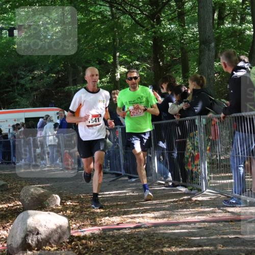 28.09.2025 - 33. Volkslauf durch das schöne Alstertal Strokosch-Dieckow http://msf.ph/oto/8967439 28.09.2025 11:42:18 Ziel 1541, 2506 meine-sportfotos.de