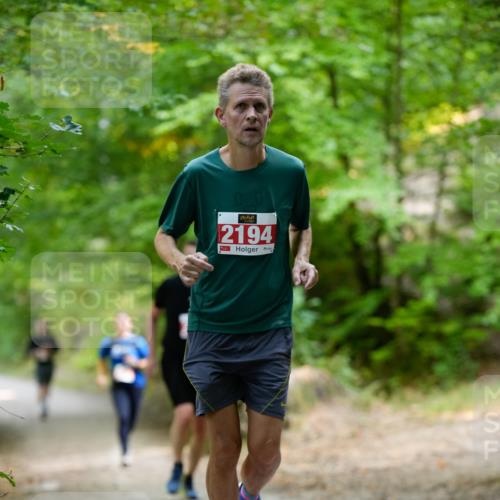 28.09.2025 - 33. Volkslauf durch das schöne Alstertal Patografie http://msf.ph/oto/8967462 28.09.2025 10:42:38 Laufen 00, 2194 meine-sportfotos.de