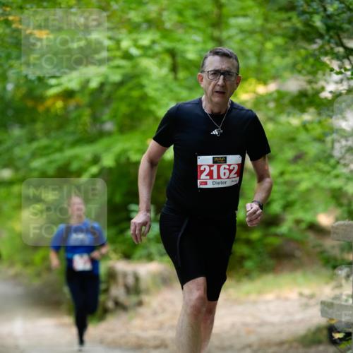 28.09.2025 - 33. Volkslauf durch das schöne Alstertal Patografie http://msf.ph/oto/8967463 28.09.2025 10:42:40 Laufen 2162 meine-sportfotos.de