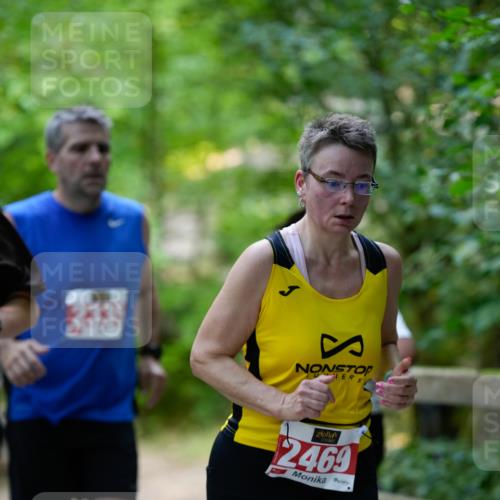 28.09.2025 - 33. Volkslauf durch das schöne Alstertal Patografie http://msf.ph/oto/8967477 28.09.2025 10:43:43 Laufen 2469 meine-sportfotos.de