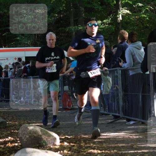 28.09.2025 - 33. Volkslauf durch das schöne Alstertal Strokosch-Dieckow http://msf.ph/oto/8967505 28.09.2025 11:42:51 Ziel 1630, 3343, 3398 meine-sportfotos.de