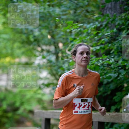 28.09.2025 - 33. Volkslauf durch das schöne Alstertal Patografie http://msf.ph/oto/8967506 28.09.2025 10:46:04 Laufen 42, 2222 meine-sportfotos.de