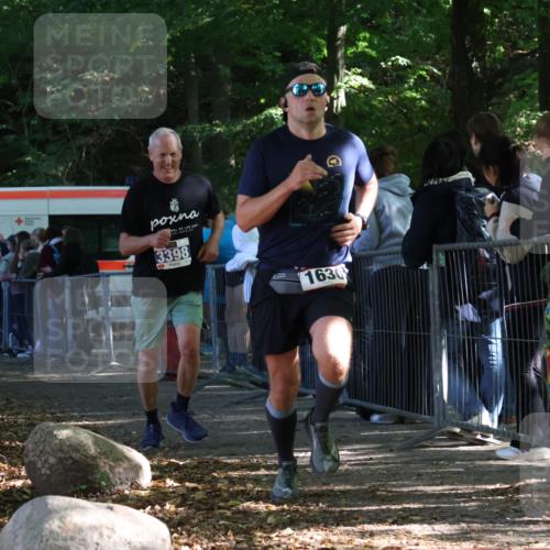 28.09.2025 - 33. Volkslauf durch das schöne Alstertal Strokosch-Dieckow http://msf.ph/oto/8967507 28.09.2025 11:42:52 Ziel 1630, 3343, 3398 meine-sportfotos.de
