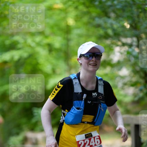 28.09.2025 - 33. Volkslauf durch das schöne Alstertal Patografie http://msf.ph/oto/8967509 28.09.2025 10:46:23 Laufen 2246 meine-sportfotos.de
