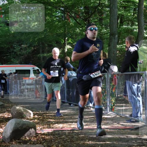 28.09.2025 - 33. Volkslauf durch das schöne Alstertal Strokosch-Dieckow http://msf.ph/oto/8967512 28.09.2025 11:42:52 Ziel 1630, 3343, 3398 meine-sportfotos.de