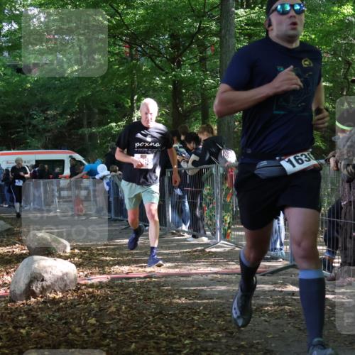 28.09.2025 - 33. Volkslauf durch das schöne Alstertal Strokosch-Dieckow http://msf.ph/oto/8967517 28.09.2025 11:42:53 Ziel 1630, 3343, 3398 meine-sportfotos.de