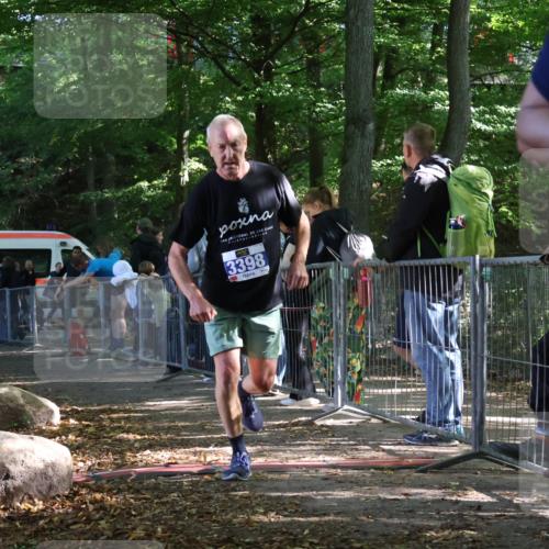 28.09.2025 - 33. Volkslauf durch das schöne Alstertal Strokosch-Dieckow http://msf.ph/oto/8967519 28.09.2025 11:42:54 Ziel 1630, 3343, 3398 meine-sportfotos.de