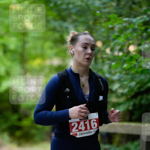 28.09.2025 - 33. Volkslauf durch das schöne Alstertal Patografie http://msf.ph/oto/8967524 28.09.2025 10:47:14 Laufen 2416 meine-sportfotos.de