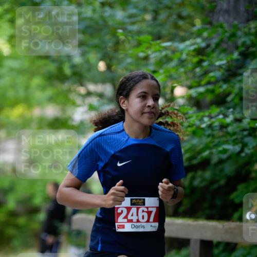 28.09.2025 - 33. Volkslauf durch das schöne Alstertal Patografie http://msf.ph/oto/8967525 28.09.2025 10:47:19 Laufen 2467 meine-sportfotos.de