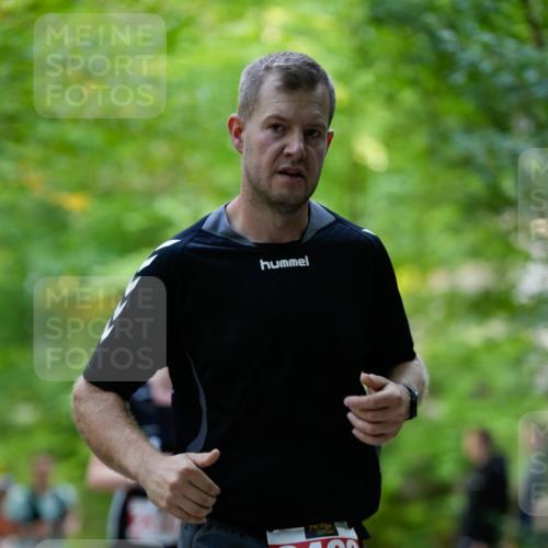 28.09.2025 - 33. Volkslauf durch das schöne Alstertal Patografie http://msf.ph/oto/8967527 28.09.2025 10:47:22 Laufen 2462 meine-sportfotos.de