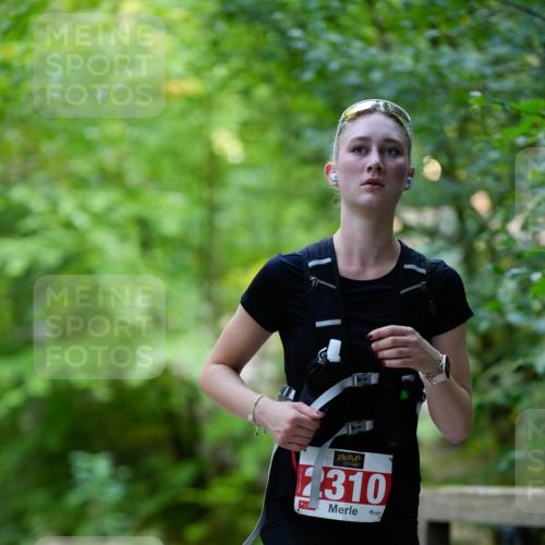 28.09.2025 - 33. Volkslauf durch das schöne Alstertal Patografie http://msf.ph/oto/8967529 28.09.2025 10:47:23 Laufen 2310 meine-sportfotos.de