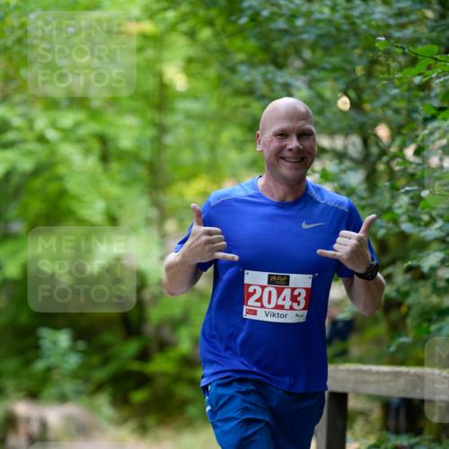 28.09.2025 - 33. Volkslauf durch das schöne Alstertal Patografie http://msf.ph/oto/8967532 28.09.2025 10:47:32 Laufen 2043 meine-sportfotos.de