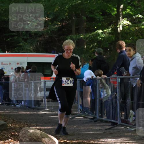 28.09.2025 - 33. Volkslauf durch das schöne Alstertal Strokosch-Dieckow http://msf.ph/oto/8967533 28.09.2025 11:42:57 Ziel 3343 meine-sportfotos.de