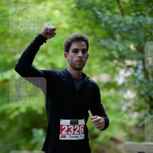 28.09.2025 - 33. Volkslauf durch das schöne Alstertal Patografie http://msf.ph/oto/8967540 28.09.2025 10:48:16 Laufen 2326 meine-sportfotos.de