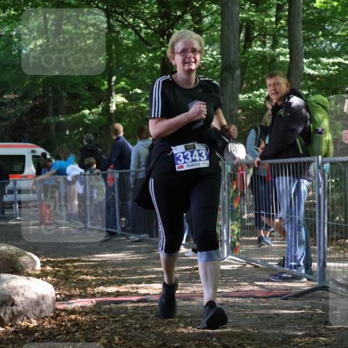 28.09.2025 - 33. Volkslauf durch das schöne Alstertal Strokosch-Dieckow http://msf.ph/oto/8967541 28.09.2025 11:43:00 Ziel 1562, 3343 meine-sportfotos.de
