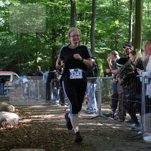 28.09.2025 - 33. Volkslauf durch das schöne Alstertal Strokosch-Dieckow http://msf.ph/oto/8967543 28.09.2025 11:43:00 Ziel 1562, 3343 meine-sportfotos.de