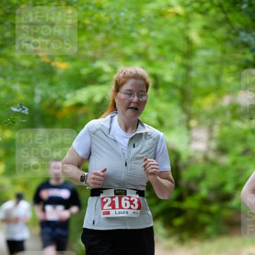 28.09.2025 - 33. Volkslauf durch das schöne Alstertal Patografie http://msf.ph/oto/8967545 28.09.2025 10:48:25 Laufen 2163 meine-sportfotos.de