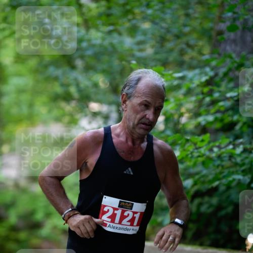 28.09.2025 - 33. Volkslauf durch das schöne Alstertal Patografie http://msf.ph/oto/8967549 28.09.2025 10:49:08 Laufen 2121 meine-sportfotos.de