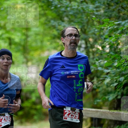 28.09.2025 - 33. Volkslauf durch das schöne Alstertal Patografie http://msf.ph/oto/8967551 28.09.2025 10:49:17 Laufen 260, 10, 2259 meine-sportfotos.de