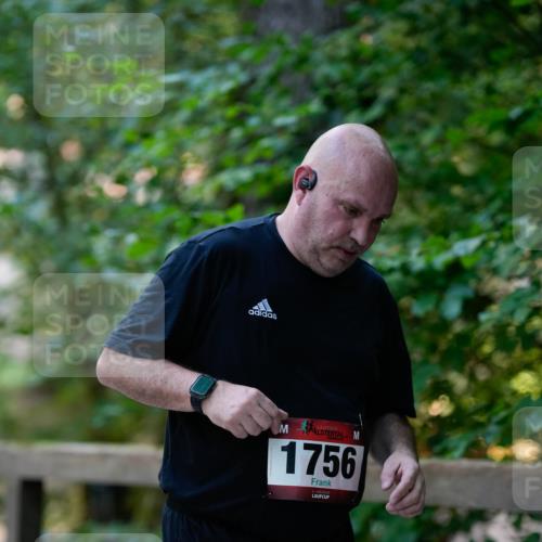 28.09.2025 - 33. Volkslauf durch das schöne Alstertal Patografie http://msf.ph/oto/8967553 28.09.2025 10:49:31 Laufen 1756 meine-sportfotos.de