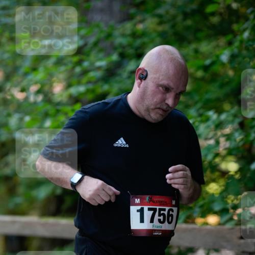 28.09.2025 - 33. Volkslauf durch das schöne Alstertal Patografie http://msf.ph/oto/8967555 28.09.2025 10:49:32 Laufen 1756 meine-sportfotos.de