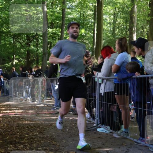28.09.2025 - 33. Volkslauf durch das schöne Alstertal Strokosch-Dieckow http://msf.ph/oto/8967556 28.09.2025 11:43:10 Ziel 1548, 1562 meine-sportfotos.de