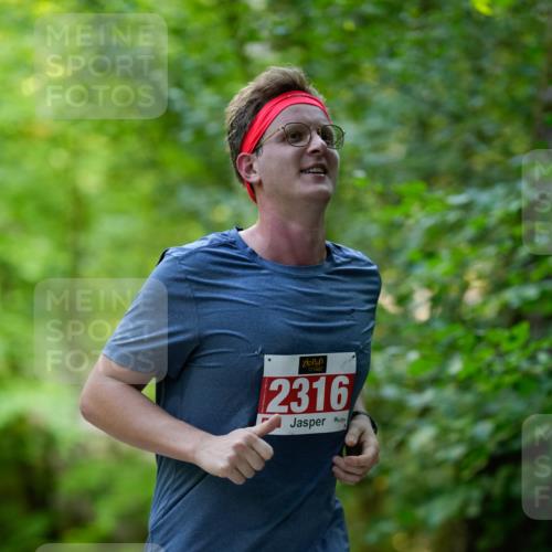28.09.2025 - 33. Volkslauf durch das schöne Alstertal Patografie http://msf.ph/oto/8967564 28.09.2025 10:50:44 Laufen 2316 meine-sportfotos.de