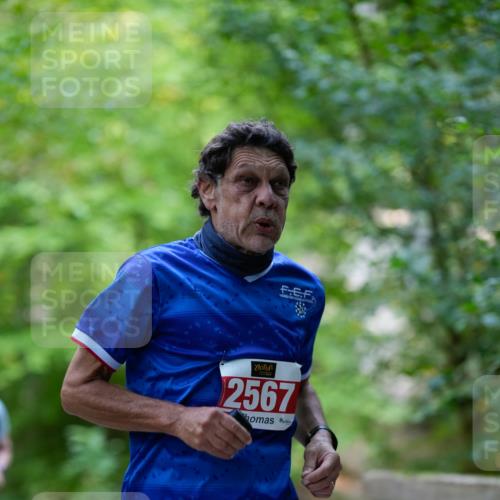 28.09.2025 - 33. Volkslauf durch das schöne Alstertal Patografie http://msf.ph/oto/8967570 28.09.2025 10:52:01 Laufen 2567 meine-sportfotos.de