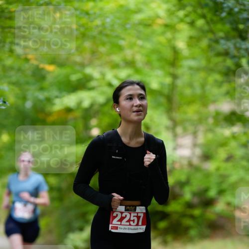 28.09.2025 - 33. Volkslauf durch das schöne Alstertal Patografie http://msf.ph/oto/8967575 28.09.2025 10:53:00 Laufen 2257 meine-sportfotos.de
