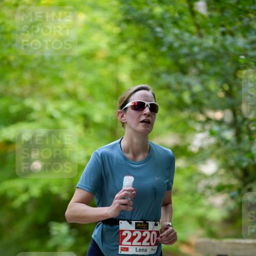 28.09.2025 - 33. Volkslauf durch das schöne Alstertal Patografie http://msf.ph/oto/8967577 28.09.2025 10:53:02 Laufen 2220 meine-sportfotos.de