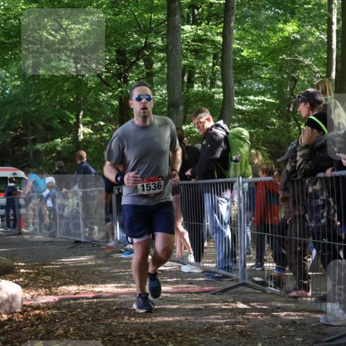 28.09.2025 - 33. Volkslauf durch das schöne Alstertal Strokosch-Dieckow http://msf.ph/oto/8967589 28.09.2025 11:43:39 Ziel 1536 meine-sportfotos.de