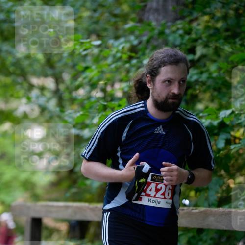 28.09.2025 - 33. Volkslauf durch das schöne Alstertal Patografie http://msf.ph/oto/8967599 28.09.2025 10:57:20 Laufen 426 meine-sportfotos.de