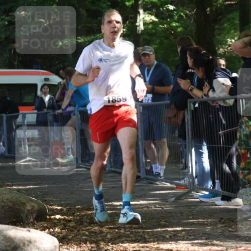 28.09.2025 - 33. Volkslauf durch das schöne Alstertal Strokosch-Dieckow http://msf.ph/oto/8967600 28.09.2025 11:43:48 Ziel 1859 meine-sportfotos.de