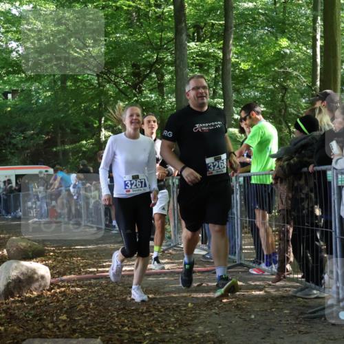 28.09.2025 - 33. Volkslauf durch das schöne Alstertal Strokosch-Dieckow http://msf.ph/oto/8967609 28.09.2025 11:44:01 Ziel 1597, 3267, 3268, 3323 meine-sportfotos.de