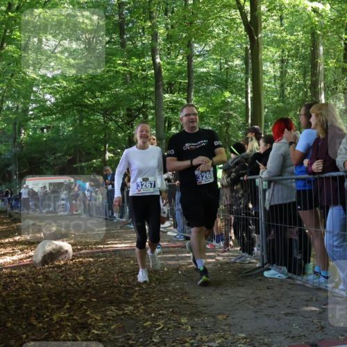 28.09.2025 - 33. Volkslauf durch das schöne Alstertal Strokosch-Dieckow http://msf.ph/oto/8967610 28.09.2025 11:44:01 Ziel 1597, 3267, 3268, 3323 meine-sportfotos.de