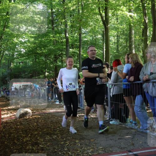 28.09.2025 - 33. Volkslauf durch das schöne Alstertal Strokosch-Dieckow http://msf.ph/oto/8967611 28.09.2025 11:44:02 Ziel 1597, 3267, 3268, 3323 meine-sportfotos.de