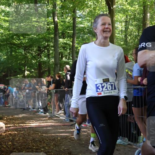 28.09.2025 - 33. Volkslauf durch das schöne Alstertal Strokosch-Dieckow http://msf.ph/oto/8967613 28.09.2025 11:44:02 Ziel 1597, 3267, 3268, 3323 meine-sportfotos.de