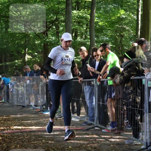 28.09.2025 - 33. Volkslauf durch das schöne Alstertal Strokosch-Dieckow http://msf.ph/oto/8967617 28.09.2025 11:44:10 Ziel 3003, 3323 meine-sportfotos.de