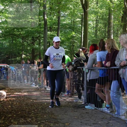 28.09.2025 - 33. Volkslauf durch das schöne Alstertal Strokosch-Dieckow http://msf.ph/oto/8967618 28.09.2025 11:44:10 Ziel 3003, 3323 meine-sportfotos.de