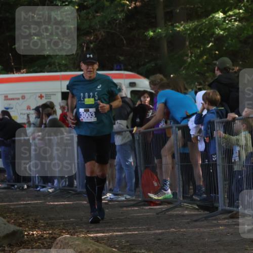 28.09.2025 - 33. Volkslauf durch das schöne Alstertal Strokosch-Dieckow http://msf.ph/oto/8967620 28.09.2025 11:44:12 Ziel 3003 meine-sportfotos.de