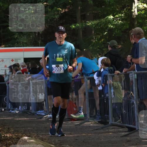 28.09.2025 - 33. Volkslauf durch das schöne Alstertal Strokosch-Dieckow http://msf.ph/oto/8967621 28.09.2025 11:44:14 Ziel 1604, 3003 meine-sportfotos.de